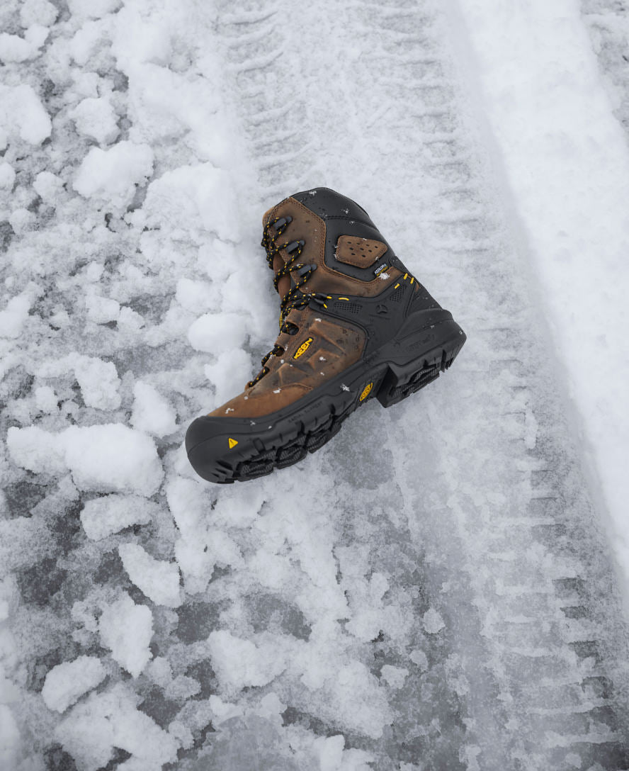 Men's Dover 8" Insulated Waterproof Boot (Carbon Toe) | Dark Earth/Black