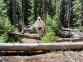 Trail Run Log: Sky Lakes Wilderness
